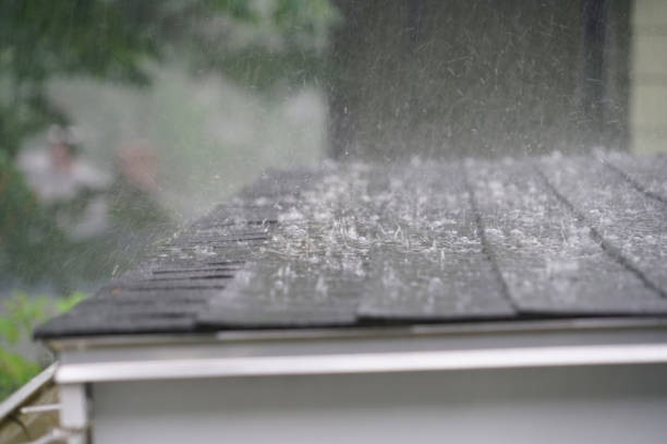 Best Gutter Installation and Repair  in Ashdown, AR